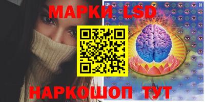 шишки Будённовск