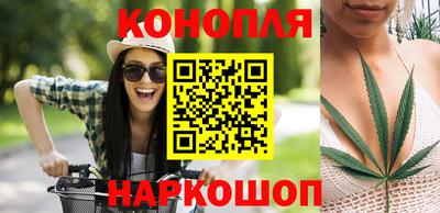 шишки Будённовск