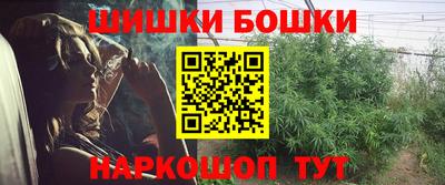 шишки Будённовск