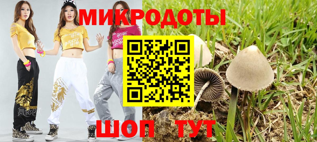 Псилоцибиновые грибы прущие грибы Краснокаменск