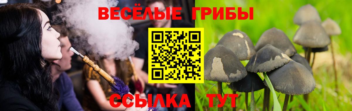Галлюциногенные грибы GOLDEN TEACHER  Вход с VPN  Краснокаменск 